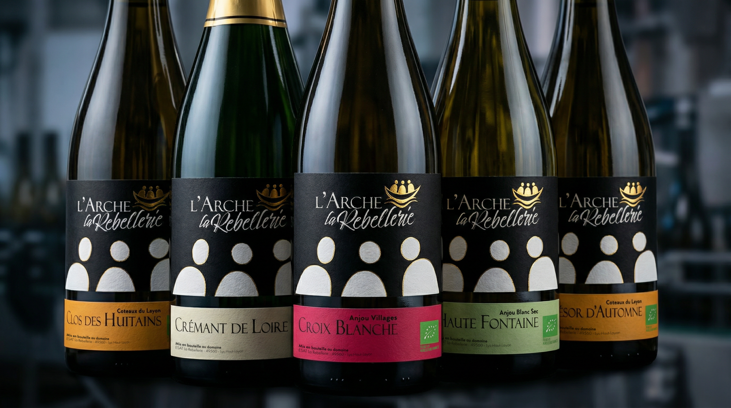 Cinq bouteilles des vins haut de gamme sont alignées. La finition d'or à chaud et la création graphique les valorisent.